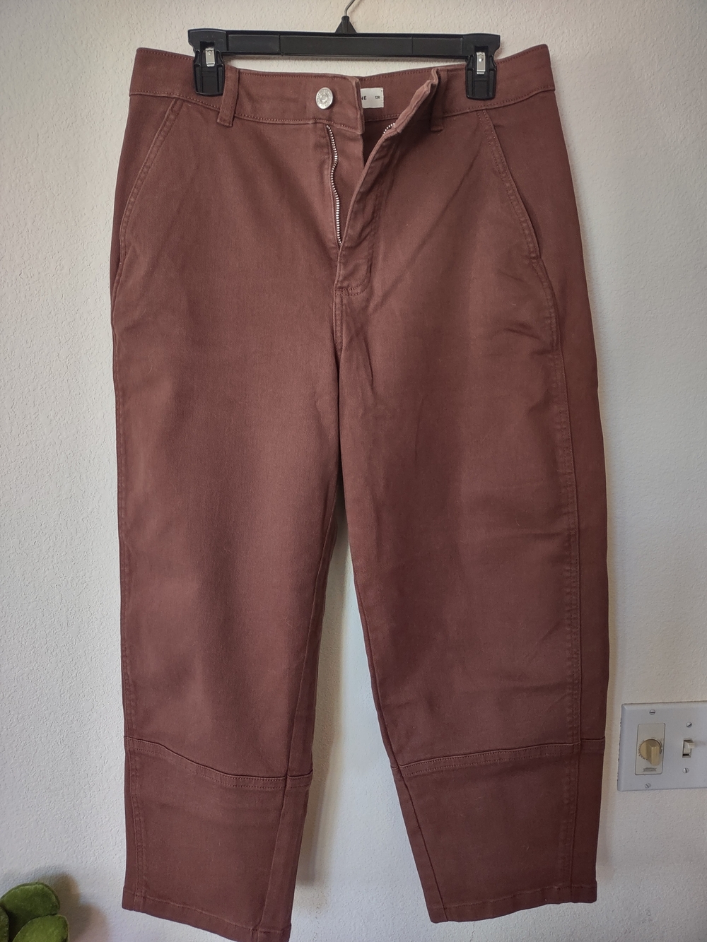 Everlane Men's Chinos in Rust Brown